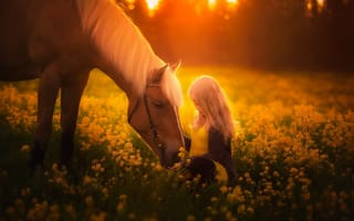 Картинка лето, девочка, конь
