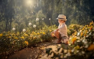 Картинка лето, мальчик, цветы