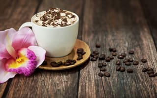 Картинка чашка, пена, капучино, зерна, кофе, напиток, цветок, орхидея, розовая, шоколад