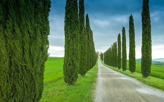 Картинка Италия, кипарисы, тучи, небо, Тоскана, поле, дорога, деревья