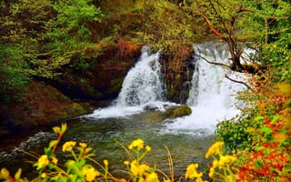 Картинка Водопад, Река, Waterfall, Forest, Лес, River