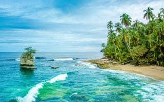 Картинка море, пальмы, Коста-Рика, берег, Карибы