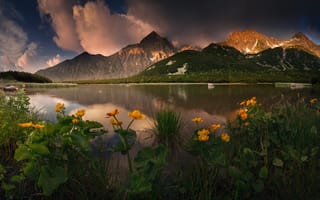 Картинка небо, вода, Karol Nienartowicz, Словакия, горы, цветы, озеро