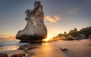 Картинка скала, рассвет, Te Hoho Rock, Новая Зеландия, побережье, утро