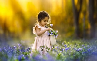 Картинка девочка, кувшин, цветы, поляна