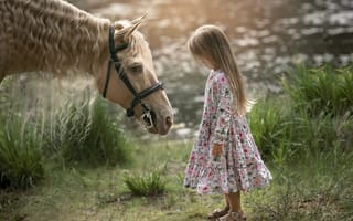 Картинка лето, конь, девочка