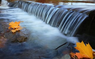 Картинка природа, река, течение, листья, поток, осень, порог, клён, вода