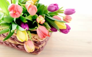 Картинка весна, тюльпаны, корзина, цветы