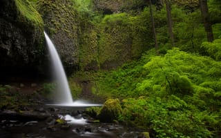 Картинка водопад, тропический лес, скала, зеленый лес, озеро