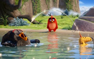 Обои Angry Birds, мультфильм, комедия, Злые птички, 2016