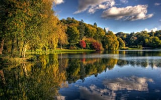 Картинка осень, природа, парк, озеро