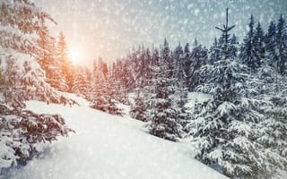 Картинка зима, 5K, закат, лес, снегопад, сугробы