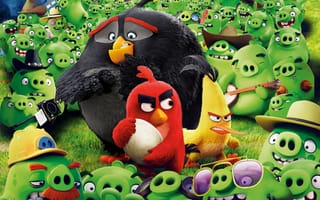 Обои Злые птицы, Bomb, Chuck, 2016, Red, фильм, Angry Birds