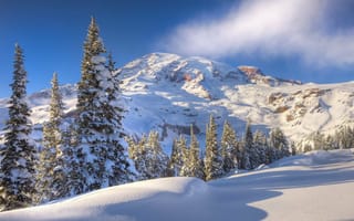 Картинка зима, горы, деревья, снег