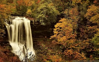 Картинка водопад, река, лес, водопады в лесу, осень