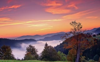 Картинка горы, осень, деревья, туман, небо, природа