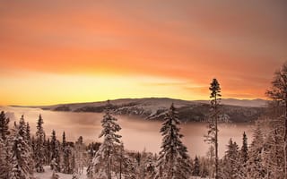 Картинка горы, небо, лес, зима, туман, деревья, природа снег