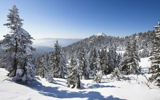 Картинка зима, снег, зимний пейзаж, горный пейзаж, ёлки, горы