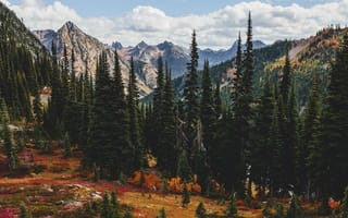 Картинка горы, облака, осенний пейзаж, осень, горный пейзаж, лес, небо, деревья
