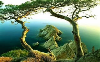 Картинка природа, деревья, камни, вода, озеро, скалы
