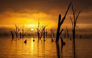 Картинка Рассвет, озеро Мулвала, Lake Mulwala, Австралия, Australia