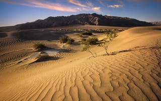 Картинка Песчаные дюны, sund dunes, Калифорния, desert, California, Пустыня