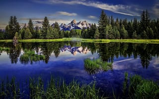 Обои природа, лес, Вайоминг, парк, США, отражение, Grand Teton, Wyoming, горы, Гранд-Титон, озеро, пейзаж, USA