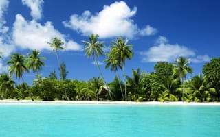 Картинка тропический остров, рай, белый песок, пляж в тропиках, пальмы