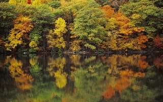 Картинка озера, lake, деревья, fall, mirroring, осень, зеркальное отображение, trees