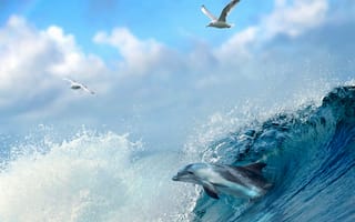 Картинка природа, вода, небо, чайки, животное, волна, облака, птицы, море, дельфин