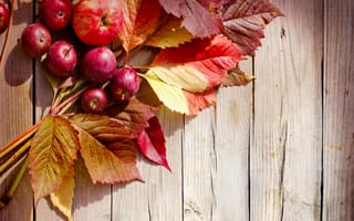 Картинка доски, фрукты, осень, яблоки, листья, плоды