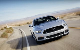 Картинка Форд Мустанг, 2015, Ford Mustang, серый