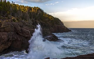 Обои природа, Newfoundland, вода, пейзаж, волны, море, Flatrock, деревья, скалы, лес
