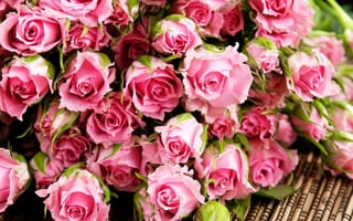 Картинка большой букет роз, розовые цветы, букет рожевих троянд, рожеві троянди, рожеві квіти, великий букет троянд, букет розовых роз, розовые розы