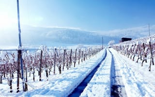 Картинка зимний пейзаж, заснеженная дорога, снег, зима