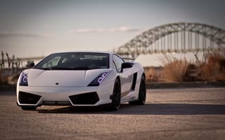 Картинка Lamborghini Gallardo, белый цвет, Ламборгини