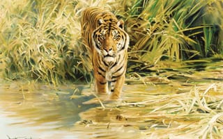 Картинка рисунок, живопись, donald grant, drawing, tiger, painting