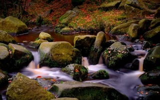 Картинка природа, мох, вода, камни, река, осень, листья