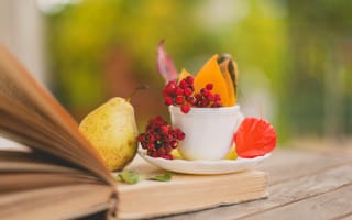 Картинка доски, осень, ягоды, чашка, книга, рябина, фрукт, листья, груша