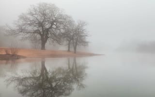 Обои озеро, берег, lake, trees, туман, отражение, water, вода, деревья, fog, shore, reflection