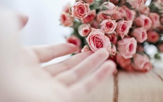 Картинка женская рука, букет троянди, рожеві троянди, квіти і руки, розовые розы, букет розы, цветы и руки, жіноча рука