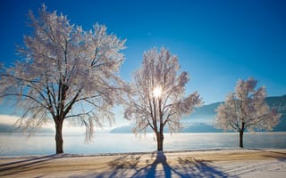 Картинка озеро, снег, солнце, деревья, дорога, зима