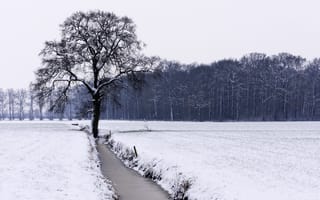 Картинка зима, лес, поле, дерево, река, снег