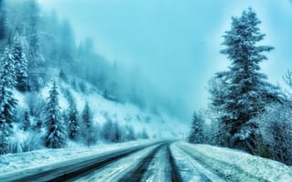 Картинка зима, туман, ели, дорога, деревья, снег