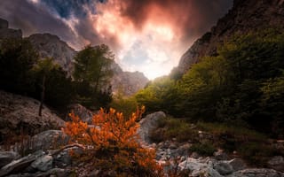Картинка горы, дерево, осень, небо, камини