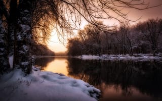 Картинка закат, река, лес, снег, ветки, осень, деревья