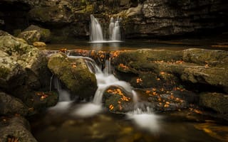 Картинка листья, камни, водопад, осень, природа