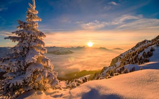 Картинка пейзаж, горы, облака, зима, ель, деревья, солнце, дерево, снега