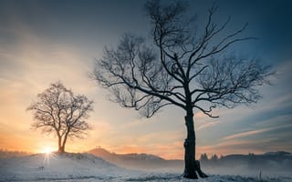 Картинка зима, лучи, снег, солнце, деревья, закат