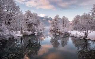 Картинка зима, горы, деревья, река, отражение, иней